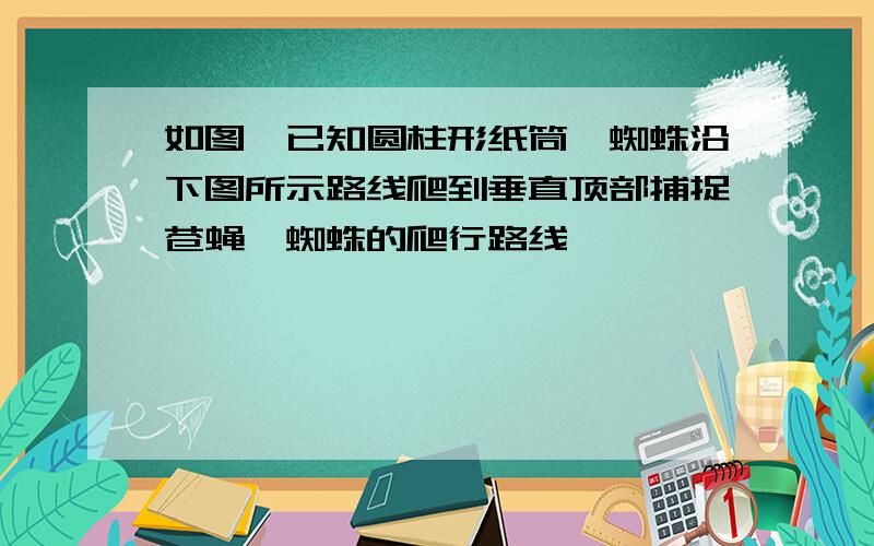 如图,已知圆柱形纸筒,蜘蛛沿下图所示路线爬到垂直顶部捕捉苍蝇,蜘蛛的爬行路线