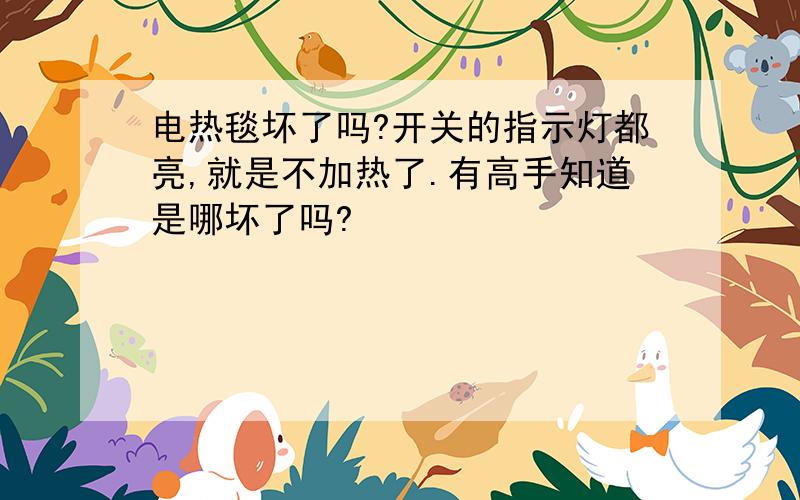 电热毯坏了吗?开关的指示灯都亮,就是不加热了.有高手知道是哪坏了吗?