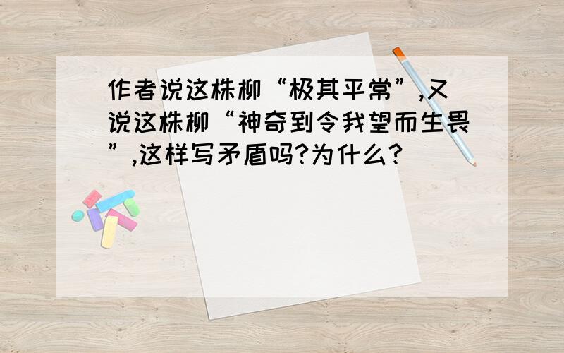 作者说这株柳“极其平常”,又说这株柳“神奇到令我望而生畏”,这样写矛盾吗?为什么?