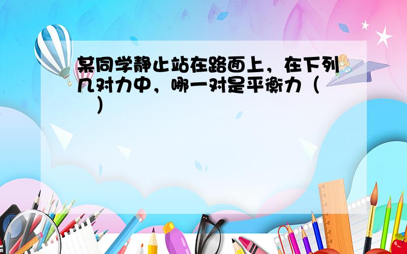 某同学静止站在路面上，在下列几对力中，哪一对是平衡力（　　）