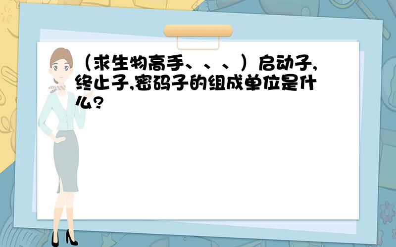 （求生物高手、、、）启动子,终止子,密码子的组成单位是什么?