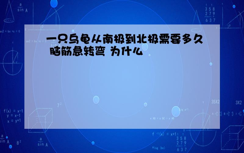 一只乌龟从南极到北极需要多久 脑筋急转弯 为什么