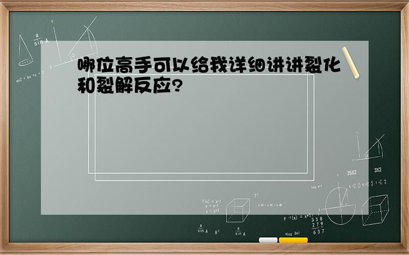 哪位高手可以给我详细讲讲裂化和裂解反应?