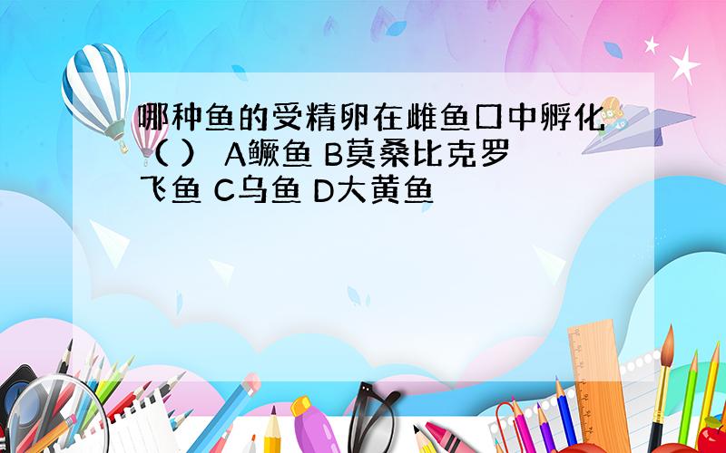 哪种鱼的受精卵在雌鱼口中孵化（ ） A鳜鱼 B莫桑比克罗飞鱼 C乌鱼 D大黄鱼