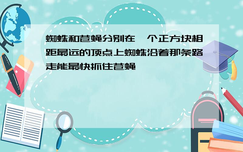 蜘蛛和苍蝇分别在一个正方块相距最远的顶点上蜘蛛沿着那条路走能最快抓住苍蝇