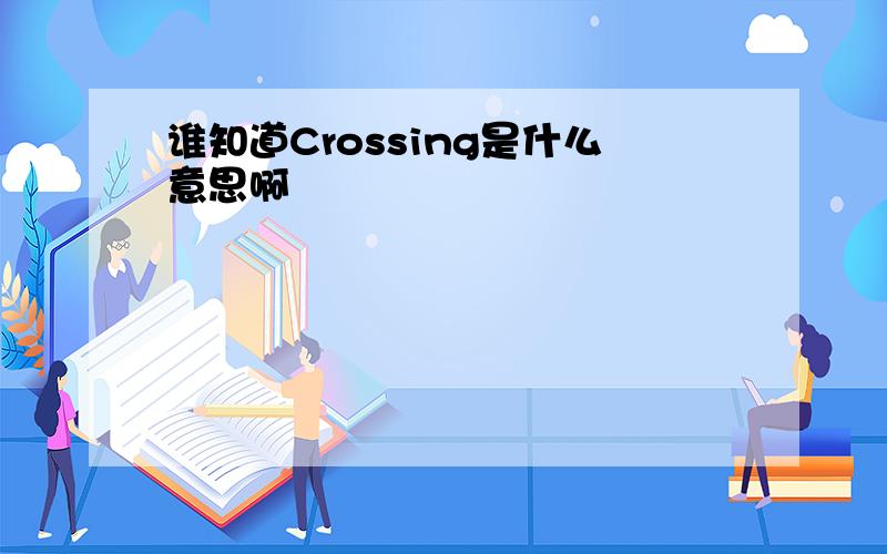 谁知道Crossing是什么意思啊