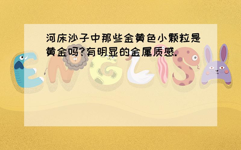 河床沙子中那些金黄色小颗粒是黄金吗?有明显的金属质感.