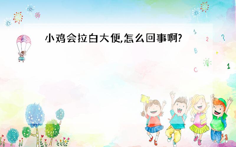 小鸡会拉白大便,怎么回事啊?