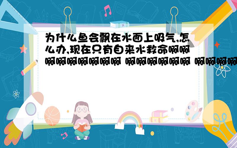 为什么鱼会飘在水面上吸气,怎么办,现在只有自来水救命啊啊啊啊啊啊啊啊啊 啊啊啊啊啊啊 啊啊啊啊啊 在线等