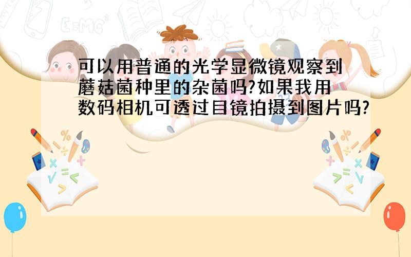 可以用普通的光学显微镜观察到蘑菇菌种里的杂菌吗?如果我用数码相机可透过目镜拍摄到图片吗?