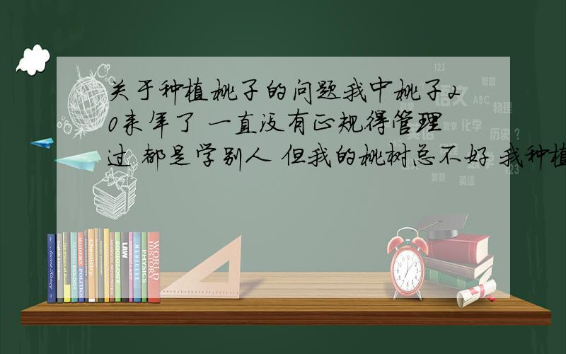 关于种植桃子的问题我中桃子20来年了 一直没有正规得管理过 都是学别人 但我的桃树总不好 我种植的是罐头用桃子 为了运输