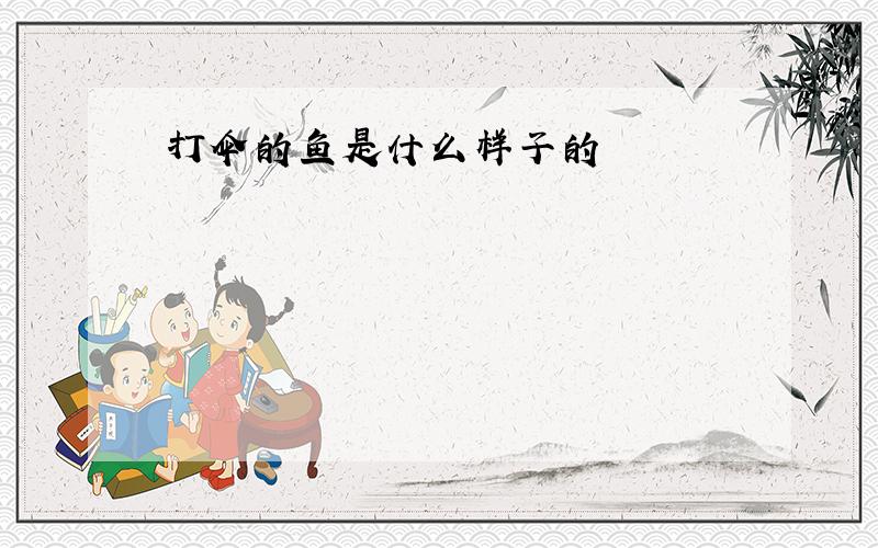 打伞的鱼是什么样子的