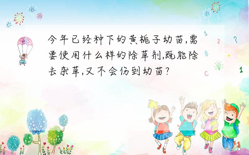 今年已经种下的黄栀子幼苗,需要使用什么样的除草剂,既能除去杂草,又不会伤到幼苗?