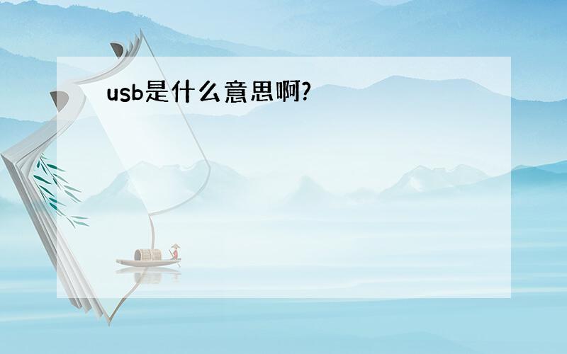 usb是什么意思啊?