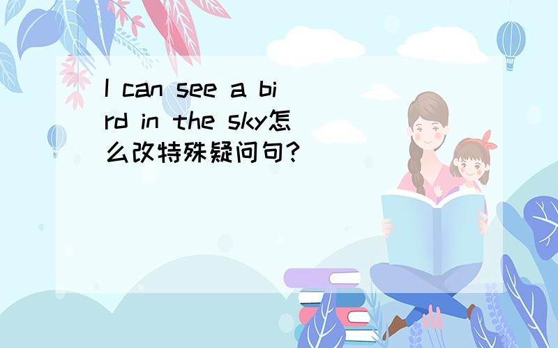 I can see a bird in the sky怎么改特殊疑问句?