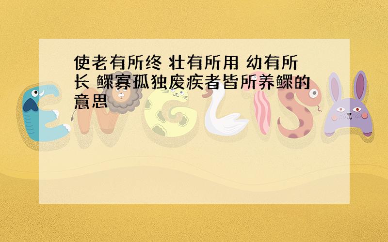 使老有所终 壮有所用 幼有所长 鳏寡孤独废疾者皆所养鳏的意思