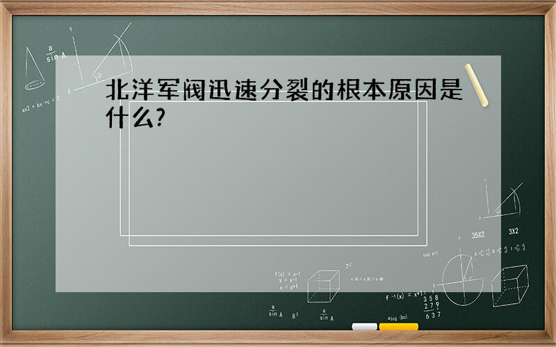 北洋军阀迅速分裂的根本原因是什么?