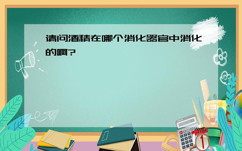 请问酒精在哪个消化器官中消化的啊?