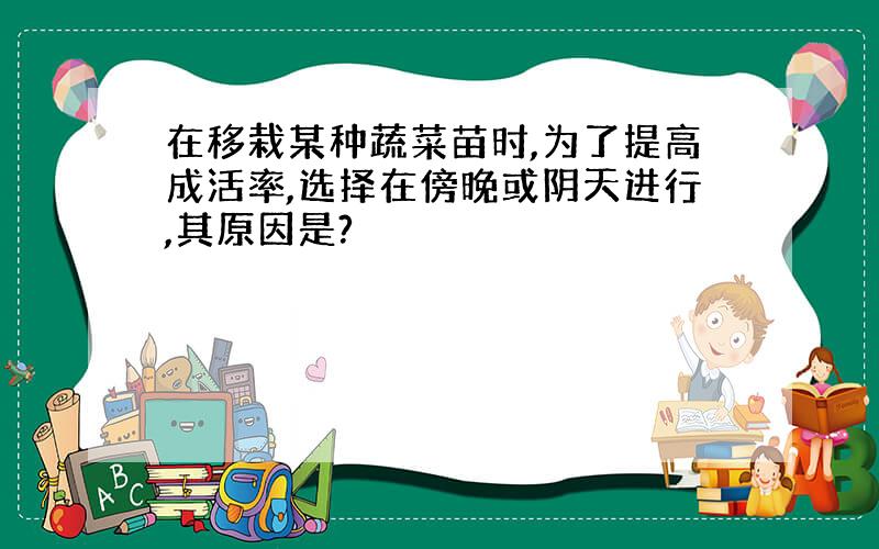 在移栽某种蔬菜苗时,为了提高成活率,选择在傍晚或阴天进行,其原因是?