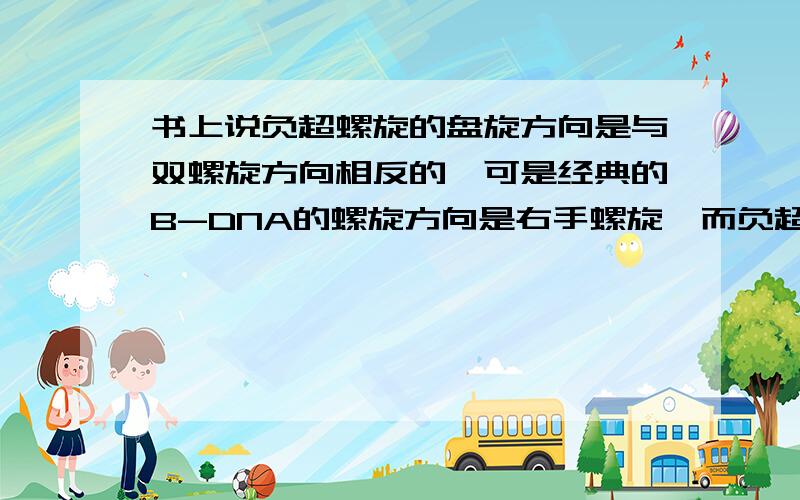 书上说负超螺旋的盘旋方向是与双螺旋方向相反的,可是经典的B-DNA的螺旋方向是右手螺旋,而负超螺旋方向也是右手螺旋,这是