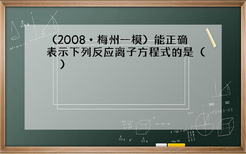 （2008•梅州一模）能正确表示下列反应离子方程式的是（　　）