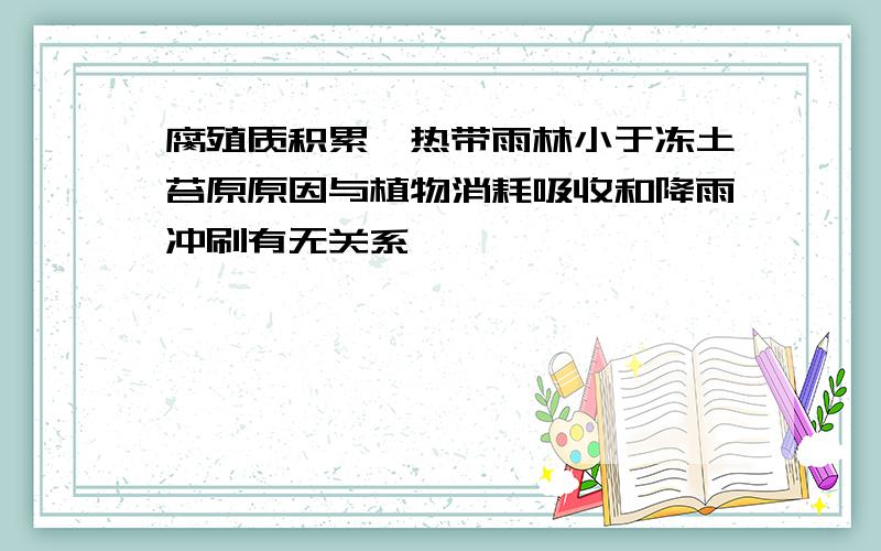 腐殖质积累,热带雨林小于冻土苔原原因与植物消耗吸收和降雨冲刷有无关系