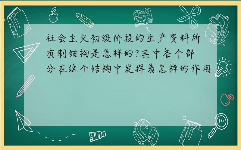 社会主义初级阶段的生产资料所有制结构是怎样的?其中各个部分在这个结构中发挥着怎样的作用