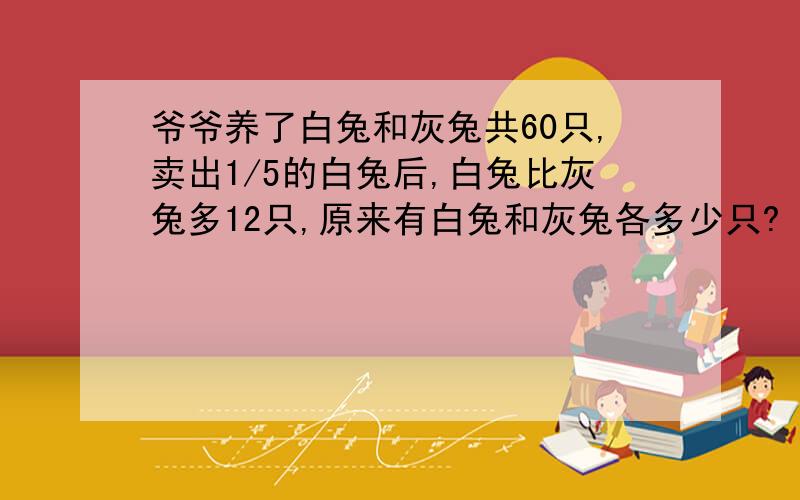 爷爷养了白兔和灰兔共60只,卖出1/5的白兔后,白兔比灰兔多12只,原来有白兔和灰兔各多少只?