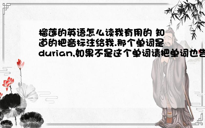 榴莲的英语怎么读我有用的 知道的把音标注给我.那个单词是durian,如果不是这个单词请把单词也告诉我,我要的音标也要有