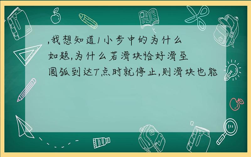 ,我想知道1小步中的为什么 如题,为什么若滑块恰好滑至 圆弧到达T点时就停止,则滑块也能