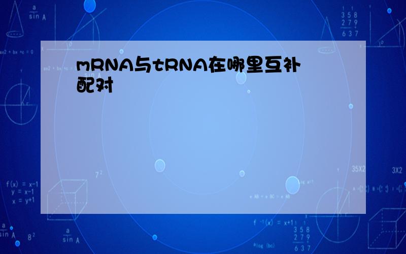 mRNA与tRNA在哪里互补配对