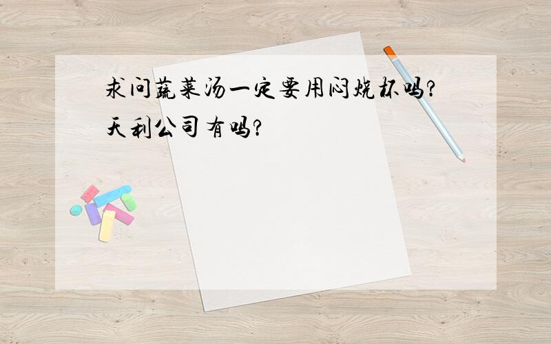 求问蔬菜汤一定要用闷烧杯吗?天利公司有吗?