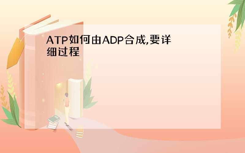 ATP如何由ADP合成,要详细过程