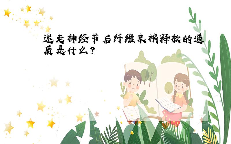 迷走神经节后纤维末梢释放的递质是什么?