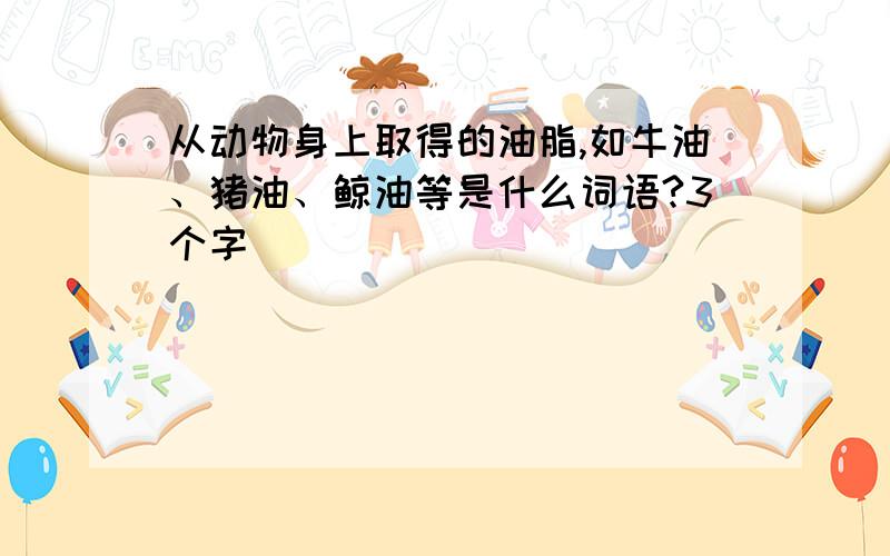 从动物身上取得的油脂,如牛油、猪油、鲸油等是什么词语?3个字