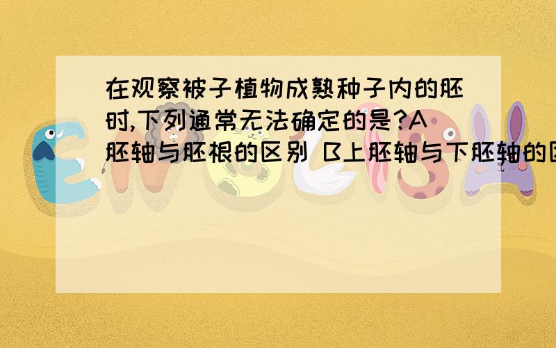 在观察被子植物成熟种子内的胚时,下列通常无法确定的是?A胚轴与胚根的区别 B上胚轴与下胚轴的区别