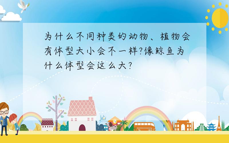 为什么不同种类的动物、植物会有体型大小会不一样?像鲸鱼为什么体型会这么大?