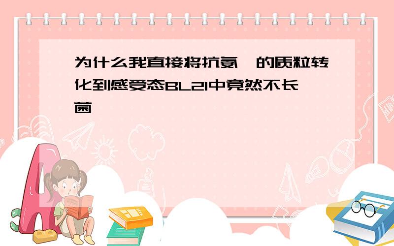 为什么我直接将抗氨苄的质粒转化到感受态BL21中竟然不长菌