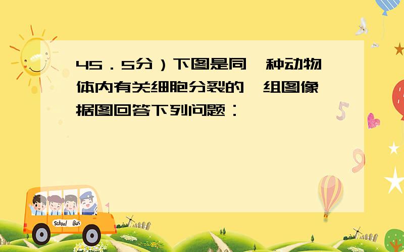 45．5分）下图是同一种动物体内有关细胞分裂的一组图像,据图回答下列问题：