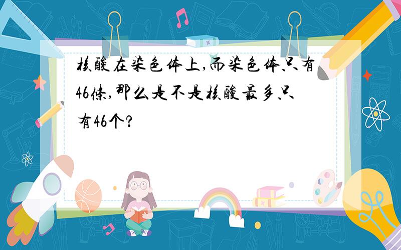 核酸在染色体上,而染色体只有46条,那么是不是核酸最多只有46个?