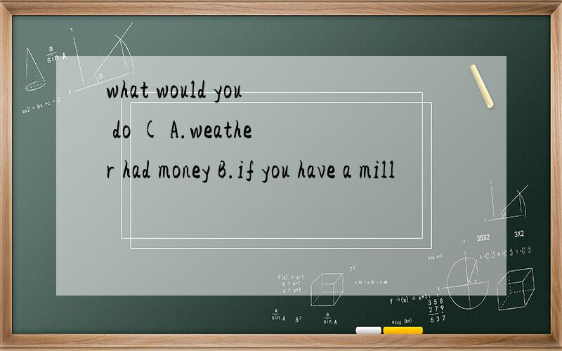 what would you do ( A.weather had money B.if you have a mill