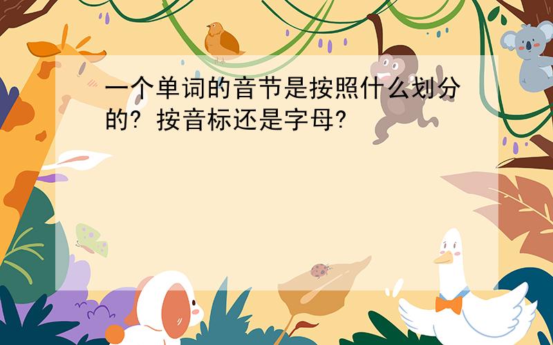 一个单词的音节是按照什么划分的? 按音标还是字母?