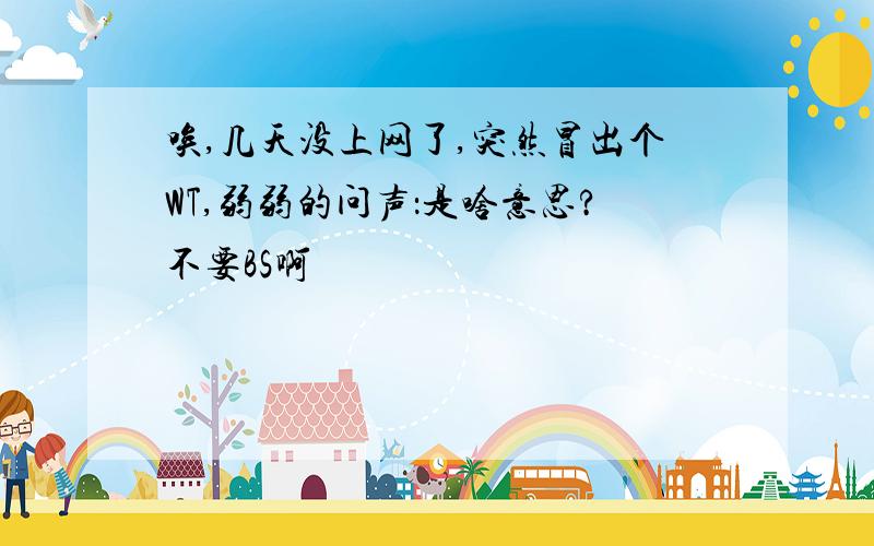 唉,几天没上网了,突然冒出个WT,弱弱的问声：是啥意思?不要BS啊