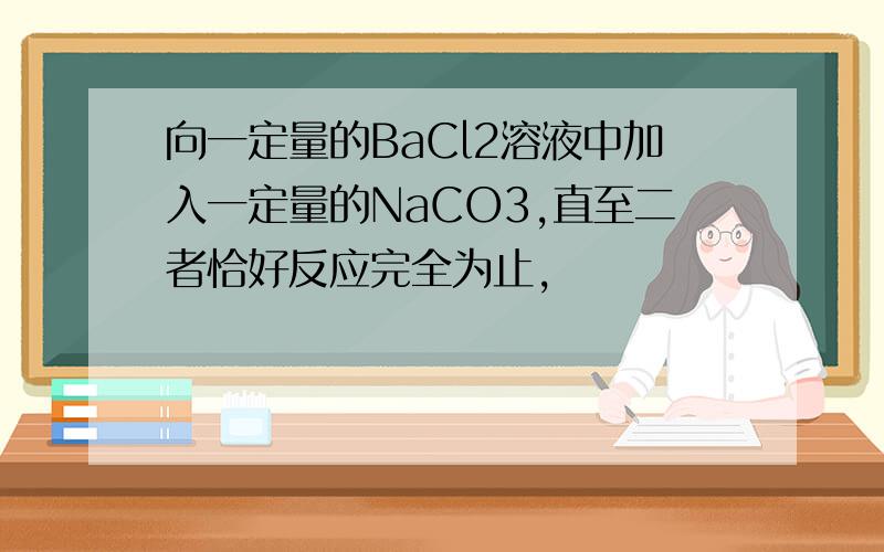 向一定量的BaCl2溶液中加入一定量的NaCO3,直至二者恰好反应完全为止,