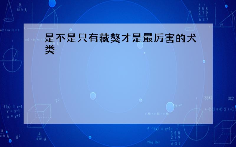 是不是只有藏獒才是最厉害的犬类