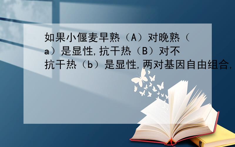 如果小偃麦早熟（A）对晚熟（a）是显性,抗干热（B）对不抗干热（b）是显性,两对基因自由组合,在研究这两对相对性状的杂交