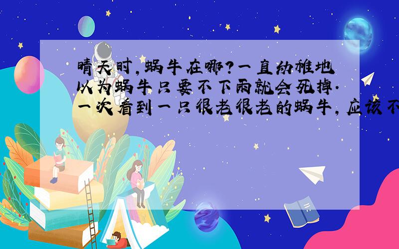 晴天时,蜗牛在哪?一直幼稚地以为蜗牛只要不下雨就会死掉.一次看到一只很老很老的蜗牛,应该不会只活了一天.但晴天又没有看到