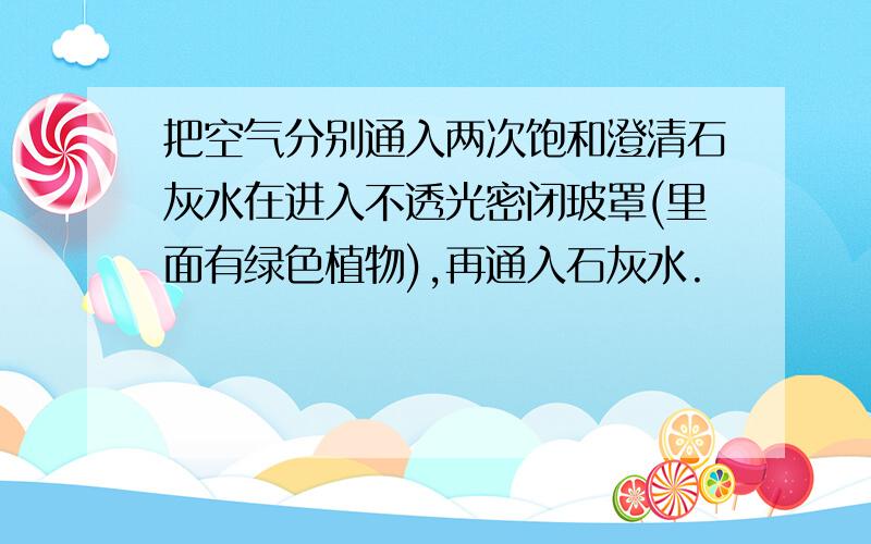 把空气分别通入两次饱和澄清石灰水在进入不透光密闭玻罩(里面有绿色植物),再通入石灰水.