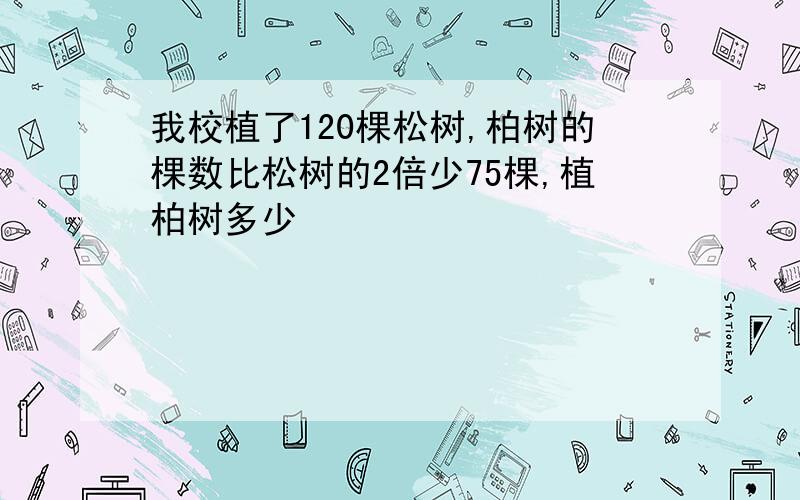 我校植了120棵松树,柏树的棵数比松树的2倍少75棵,植柏树多少