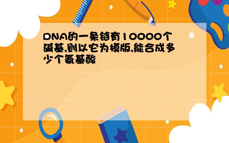 DNA的一条链有10000个碱基,则以它为模版,能合成多少个氨基酸